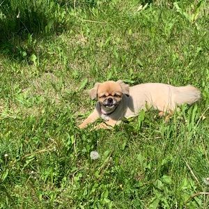 Meet your Posher, Debbie